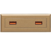 Блок розеток NAVAKO stripe gold 12023