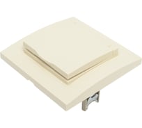 Розетка UNIVersal Бриллиант, с/з с крышкой, слоновая кость 7948868