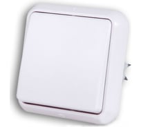 Одноклавишный выключатель скрытой проводки на 10А, белый duwi АЛЬФА 23307 7