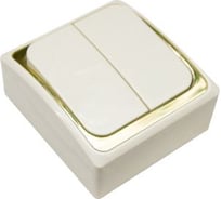 Двухклавишный выключатель открытой проводки беж/зол duwi ДЕЛЬТА 26353 1