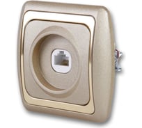 Компьютерная розетка, метал/кремовый duwi ДЕЛЬТА 26299 2