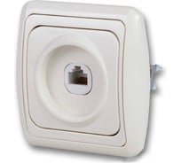 Компьютерная розетка скрытой проводки, беж/беж duwi ДЕЛЬТА 26293 0