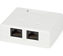 Компьютерная двойная, внешняя розетка RJ-45 8P8C категория 5e Dual IDC Hyperline SB2-2-8P8C-C5e-WH 28062