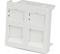 Вставка 45x45 аналог Mosaic для 2х модулей формата Keystone Jack со шторками Hyperline SIP2-2K-M45-45 35208