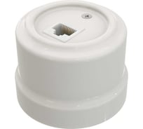 Компьютерная розетка Мезонинъ rj45, цвет - белый, серия "аврора", тм GE70342-01