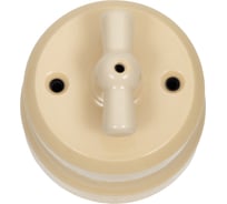 Поворотный выключатель Мезонинъ фарфоровый на четыре положения (2-х клавишный), цвет - слоновая кость, серия "аврора", тм GE70403-02