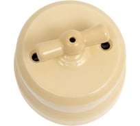 Поворотный выключатель Мезонинъ фарфоровый на два положения, для включения из 2-х мест (1-клавишный проходной), цвет - слоновая кость, серия "аврора", тм GE70405-02