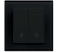 Проходной двухклавишный переключатель Vesta Electric Exclusive Black FVK050114CHR
