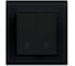 Переключатель проходной двухклавишный Metronex Electric Exclusive Black FVK050114CHR 1