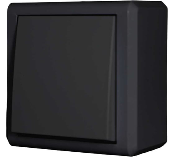 Одноклавишный выключатель Vesta Electric Mega Black FVK030102CMT