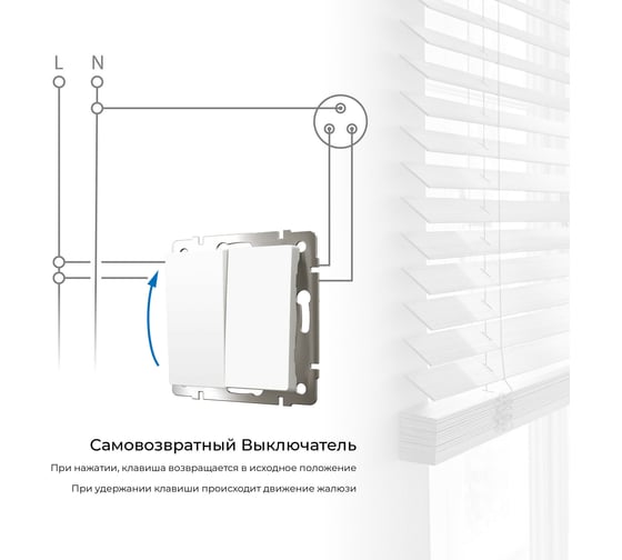 Двухклавишный выключатель WERKEL с самовозвратом (белый) a062572