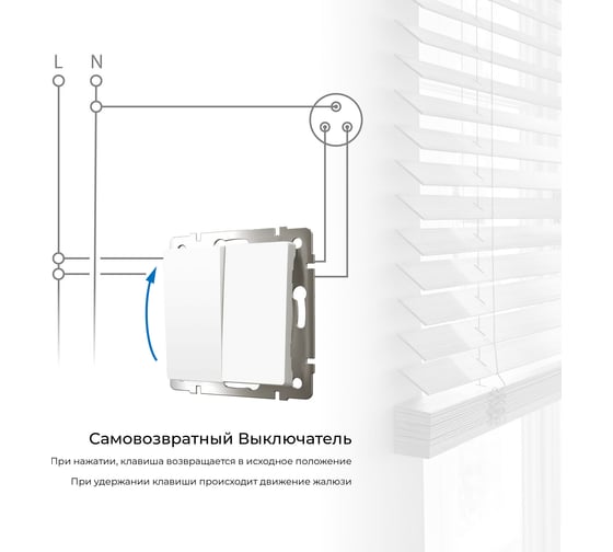 Двухклавишный выключатель WERKEL с самовозвратом (белый матовый) a062576