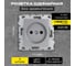 Розетка Metronex Electric Silver одинарная без заземления без рамки FRZ00010109SRM 2