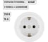 Розетка TDM ELECTRIC 2П+З 16А 250В белая «Виви» SQ1820-1012 2