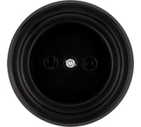 Розетка TDM ELECTRIC 2П 10А 250В черная «Виви» SQ1820-1211