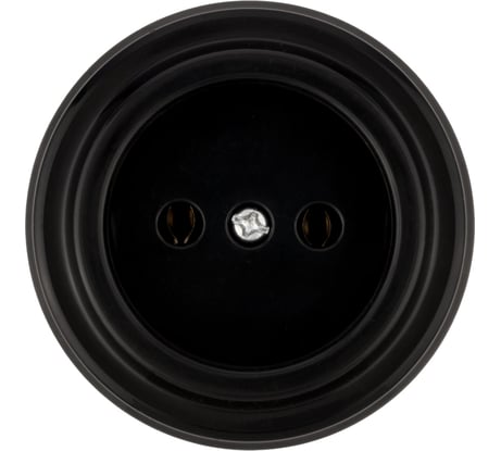 Розетка TDM ELECTRIC 2П 10А 250В черная «Виви» SQ1820-1211