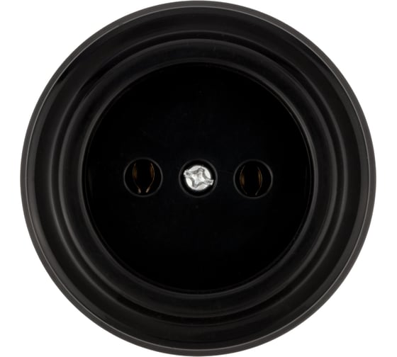 Розетка TDM ELECTRIC 2П 10А 250В черная «Виви» SQ1820-1211