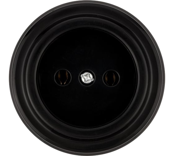 Розетка TDM ELECTRIC 2П 10А 250В черная «Виви» SQ1820-1211
