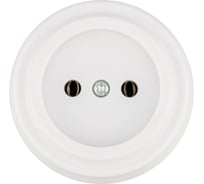 Розетка TDM ELECTRIC 2П 10А 250В белая «Виви» SQ1820-1011