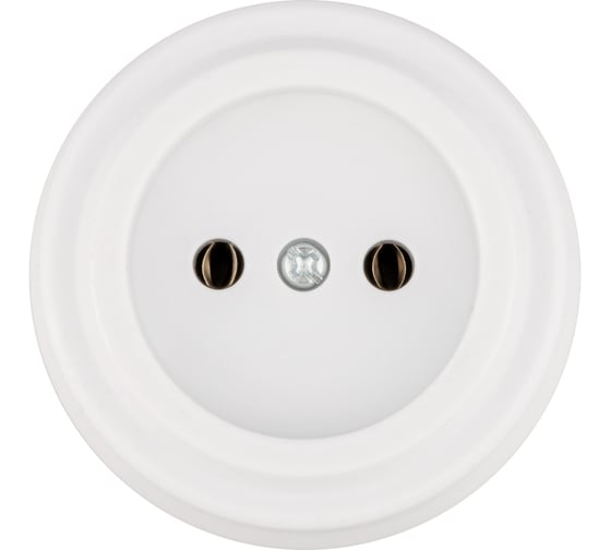 Розетка TDM ELECTRIC 2П 10А 250В белая «Виви» SQ1820-1011