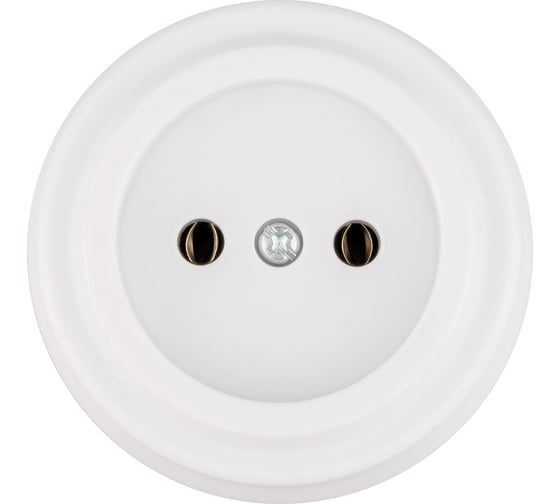 Розетка TDM ELECTRIC 2П 10А 250В белая «Виви» SQ1820-1011