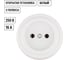 Розетка TDM ELECTRIC 2П 10А 250В белая «Виви» SQ1820-1011 2