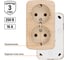 Розетка TDM ELECTRIC двойная 2П+3 открытой установки IP20 16А, сосна "Дача" Народная SQ1824-0040 3