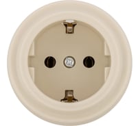 Розетка TDM ELECTRIC 2П+З 16А 250В сл. кость «Виви» SQ1820-1317