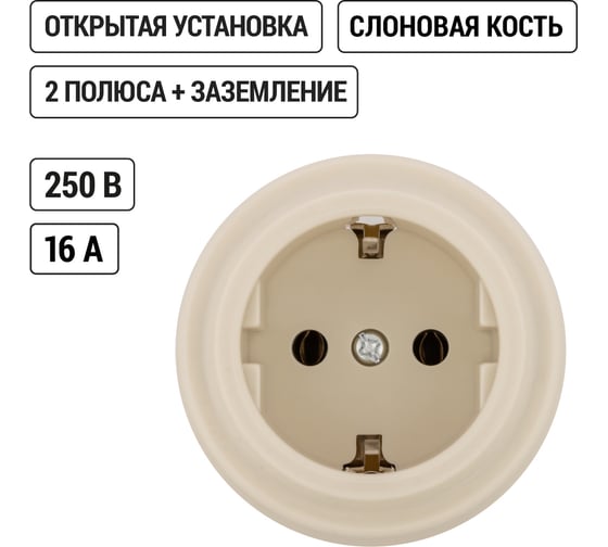 Розетка TDM ELECTRIC 2П+З 16А 250В сл. кость «Виви» SQ1820-1317