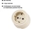 Розетка TDM ELECTRIC 2П+З 16А 250В сл. кость «Виви» SQ1820-1317 4