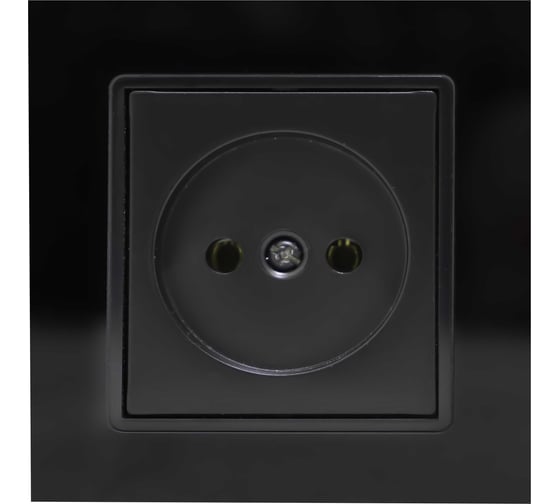 Одинарная розетка Vesta Electric Exclusive Black без заземления FRZMT040006CHR