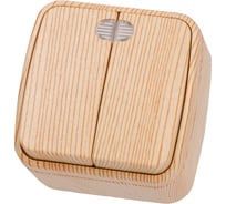 Выключатель TDM ELECTRIC 2-кл. открытой установки с подсветкой IP20 10А, сосна "Дача" Народная SQ1824-0054