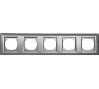 5-местная рамка Vesta Electric Roma Silver FRM050604SRM
