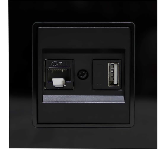 Розетка Vesta Electric Exclusive Black для сетевого кабеля USB FRZ00050504CHR