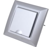 Розетка Metronex Electric Roma Silver одинарная с заземлением с крышкой FRZ00010103SRM