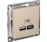 USB розетка Systeme Electric Atlasdesign песочный a+с, 5В/2,4А, 2x5В/1,2А ATN001239 1