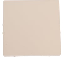 Заглушка для многопостовых рамок Systeme Electric Atlasdesign песочный без суппорта ATN001209