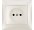 Розетка TDM ELECTRIC 2П 10А 250В перламутр "Лама" SQ1815-0822 1