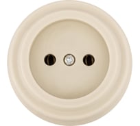 Розетка TDM ELECTRIC 2П 10А 250В сл. кость «Виви» SQ1820-1316