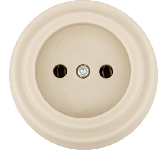 Розетка TDM ELECTRIC 2П 10А 250В сл. кость «Виви» SQ1820-1316 1