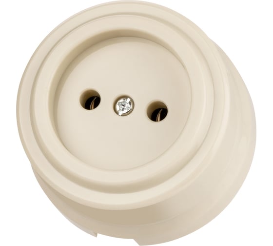 Розетка TDM ELECTRIC 2П 10А 250В сл. кость «Виви» SQ1820-1316