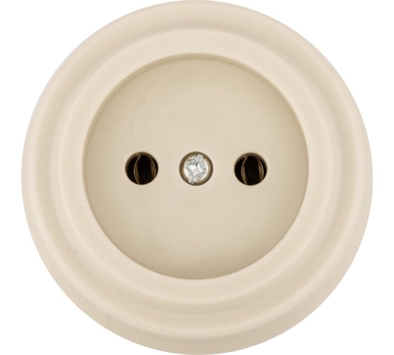 Розетка TDM ELECTRIC 2П 10А 250В сл. кость «Виви» SQ1820-1316