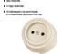 Розетка TDM ELECTRIC 2П 10А 250В сл. кость «Виви» SQ1820-1316 4