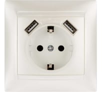 Розетка с заземлением 16А 250В + 2 USB порта 2,1А 5В перламутр серия "Лама" TDM ELECTRIC SQ1815-0842