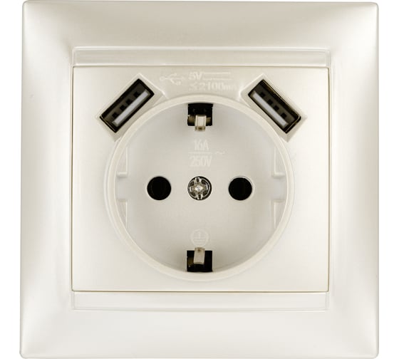 Розетка TDM ELECTRIC 2П+З 16А 250В + 2 USB порта 2,1А 5В перламутр "Лама" SQ1815-0842