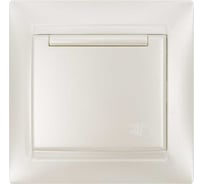 Розетка с крышкой с заземлением 16А 250В IP44 перламутр серия "Лама" TDM ELECTRIC SQ1815-0826