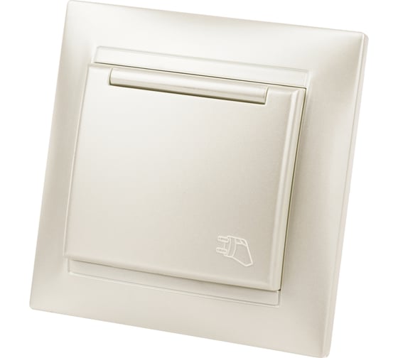 Розетка TDM ELECTRIC 2П+З 16А 250В  IP44 с крышкой перламутр "Лама" SQ1815-0826