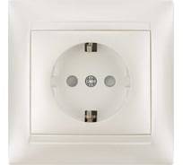 Розетка с защитными шторками с заземлением 16А 250В перламутр серия "Лама" TDM ELECTRIC SQ1815-0811