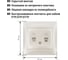 Двойная телефонная розетка TDM ELECTRIC RJ11 перламутр "Лама" SQ1815-0818 3