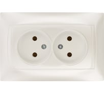 Двойная розетка TDM ELECTRIC 2П 10А 250В перламутр "Лама" SQ1815-0824